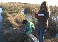 Desarrollan un proyecto para la recuperación de las aguas de la Albufera