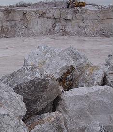 El riesgo de la planta del Valle de Boinas