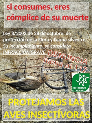 El aberrante consumo de pajaritos fritos