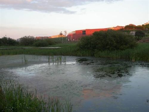 UC y SEO/Birdlife implementan la biodiversidad urbana en las aulas
