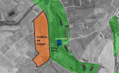 Medio Ambiente abre expediente por la balsa de riego ilegal localizada en Doñana