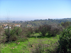 Concluyen las obras de recuperación de cuatro entornos naturales de La Palma