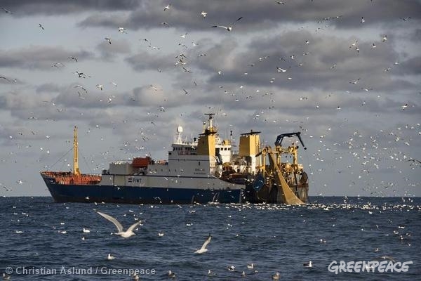 ‘Atraco a red armada’ en el Antártico