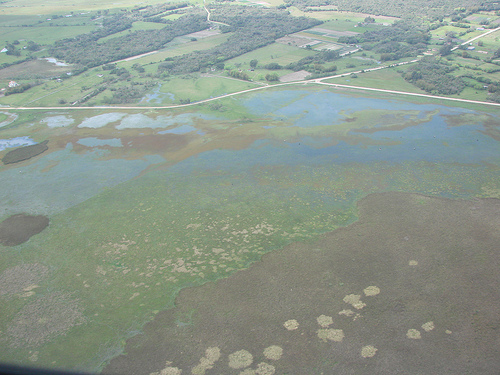 Castilla La Mancha solicitará incluir Lagunas de Ruidera en la lista RAMSAR de humedales de importancia internacional
