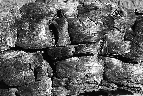 Ecologistas en pie de guerra