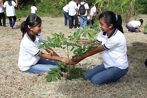 Jóvenes efectuarán jornada de reforestación en el Río San Juan
