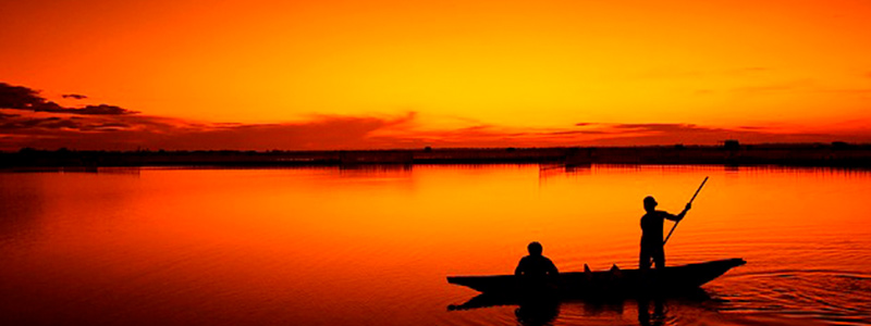Capacitan en tecnología para la protección de especies marinas