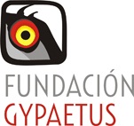 Fundación Gypaetus acerca la reintroducción del quebrantahuesos a universitarios de la Autónoma de Madrid