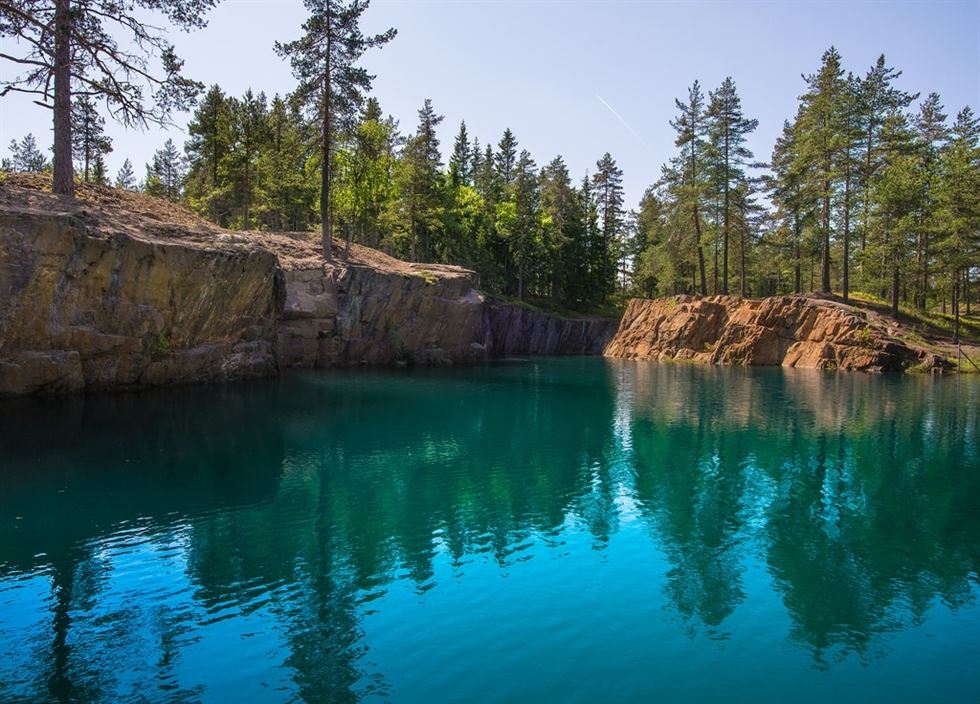 Te explicamos lo que ‘jamás’ debes tirar a la basura