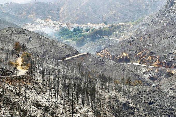 Incendios forestales