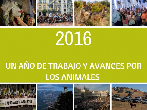 PACMA. Video-Resumen de 2016