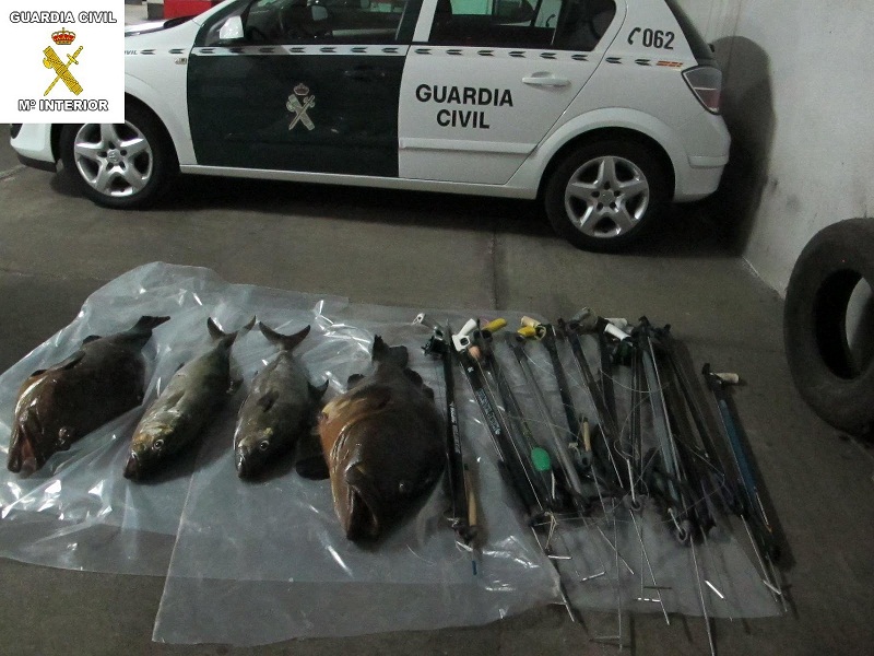 Pesca. El Cabildo de Lanzarote intensifica la lucha contra el furtivismo