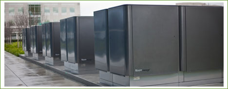 La Bloom Box se ofrece en alquiler