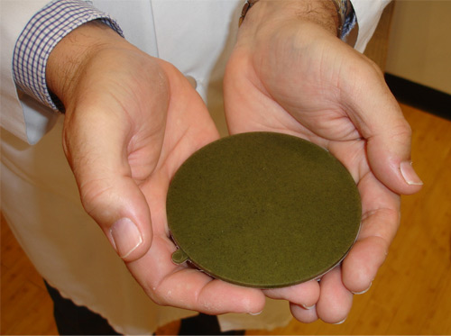 Bioplástico a base de algas