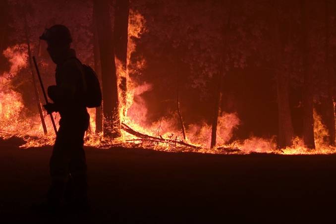 Arrasadas 133 hectáreas en el incendio de Tordelalosa (Salamanca)