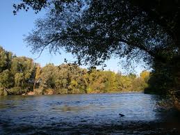 La CHE licita una actuación de restauración y mejora del hábitat del visón europeo en los ríos Leza y Jubera