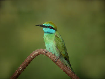 La protección del medio natural es clave para la adaptación al cambio climático