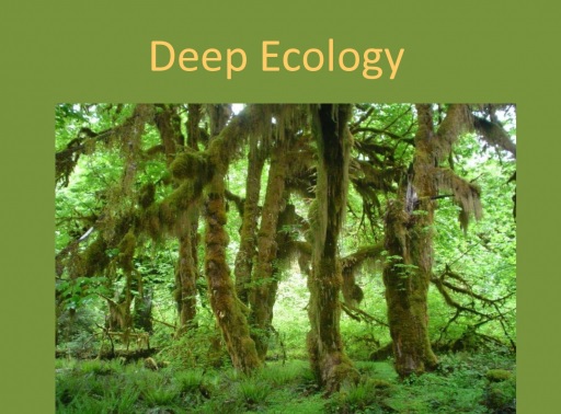 DEEP ECOLOGY Ecología exterior versus ecología interior