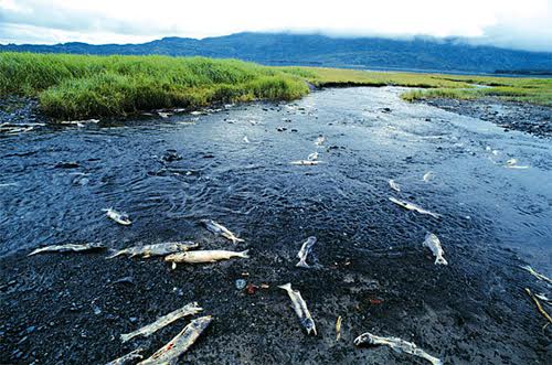 Europa pone ‘coto’ al mercurio