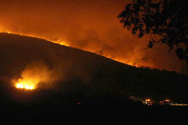Los Serranos. Un detenido como presunto autor del incendio en Valencia
