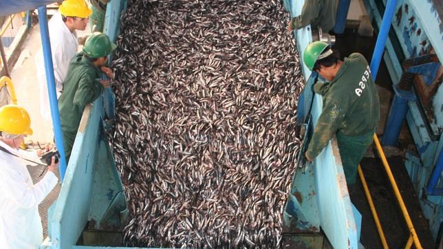 Tailandia y su ‘insultante’ pesca ilegal