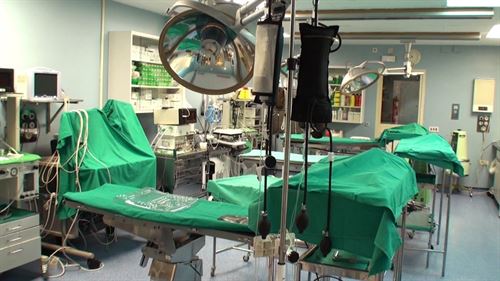 El Hospital Gregorio Marañon dice… ‘que cumple con el respeto animal’