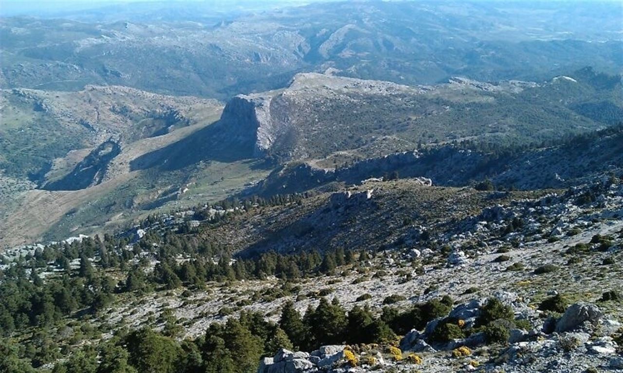 Arrancan los ‘tramites’ para la consecución del nuevo ‘Parque Nacional a Sierra de las Nieves’