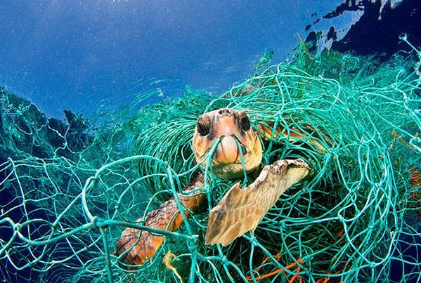 La Comisión Europea ha propuesto la prohibición total de las  redes de deriva