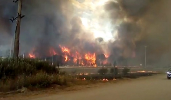 Importante incendio en los bosques de Valeria del Mar