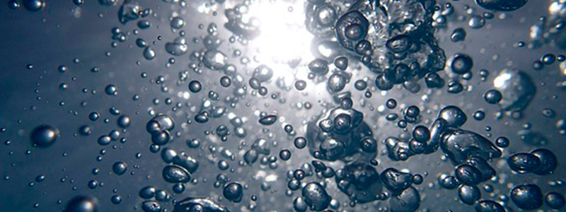 Cómo medir la toxicología acuática