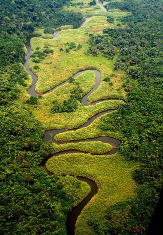 La UE firma con República del Congo un acuerdo para importar sólo madera legal a partir de julio de 2011