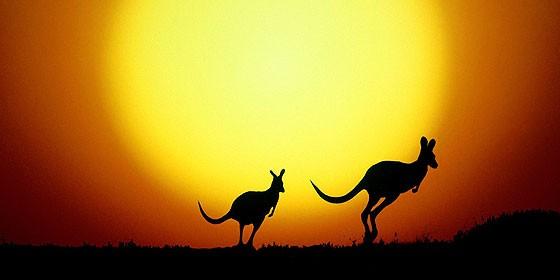 Australia la gran víctima del calentamiento global