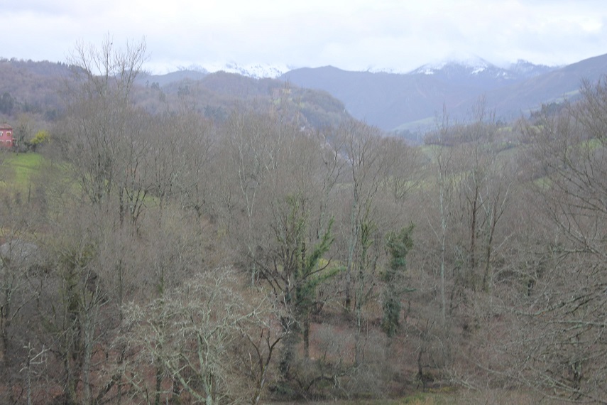 Asturias. El Principado autoriza sondear todo Piloña en busqueda de minerales