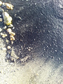 Vertido de carbón en playa de Guadarranque (Cádiz)