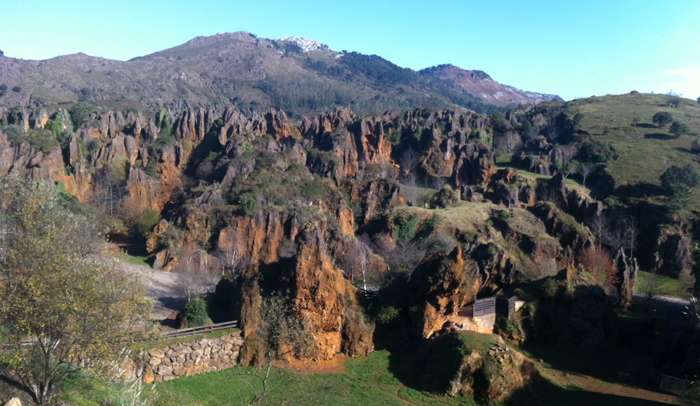 Cabárceno alarma ‘infundada’ de la supuesta presencia de un oso en la zona