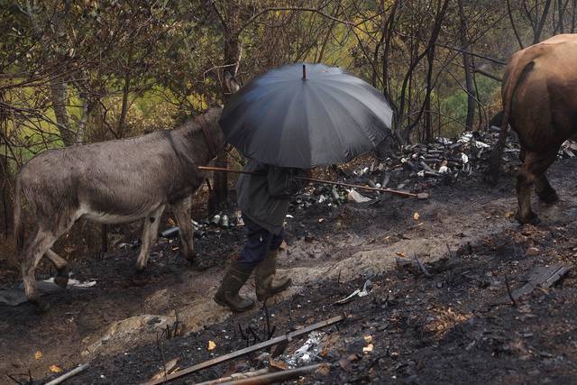 Juncker ofrece a Rajoy ayudas europeas para cubrir daños por los incendios