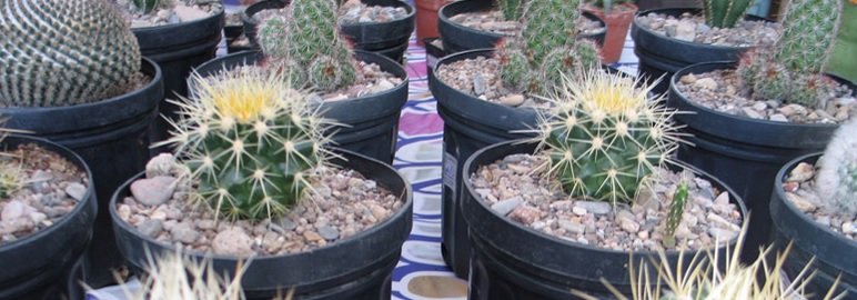 Jardín Botánico de Cadereyta