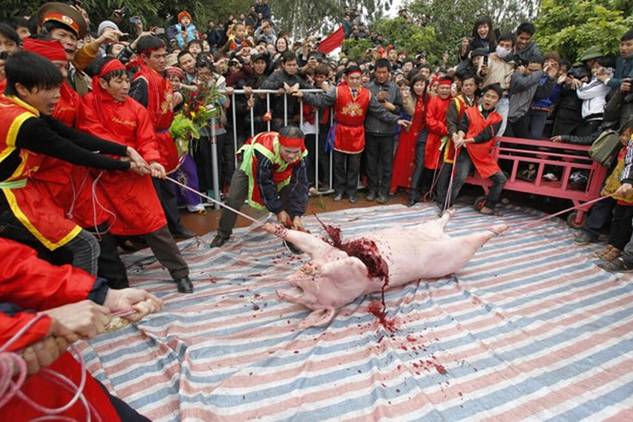 Sacrificio de más de 200.000 animales en un festival nepalí
