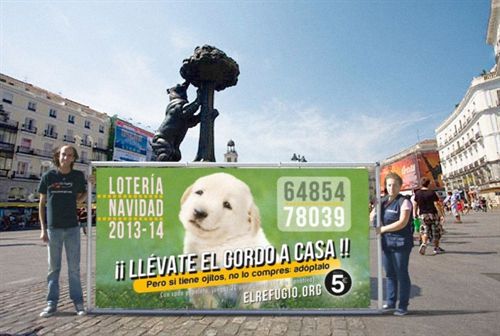 El Refugio arranca una ‘lotería’ para recaudar fondos para el cuidado de animales abandonados