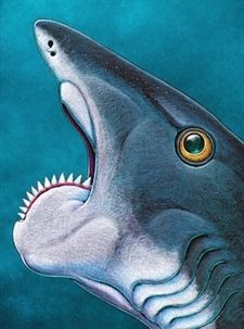 El Helicoprion vivió hace 270 millones de años