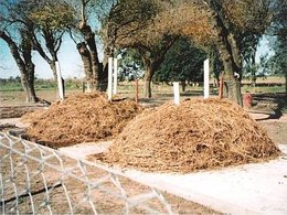 Municipios argentinos unidos frente al cambio climático