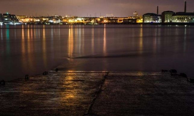 La contaminación lumínica costera perjudica a los animales marinos