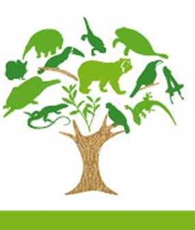 Dominicana acoge evento internacional sobre manejo de bosques