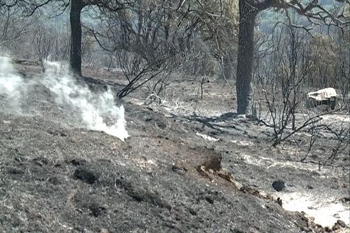 Castilla y León da por controlado el fuego de Cebreros (Ávila)