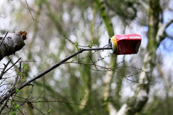 Los formuladores de políticas deben tener en cuenta a los bosques antes de decidir sobre las metas de desarrollo sostenible