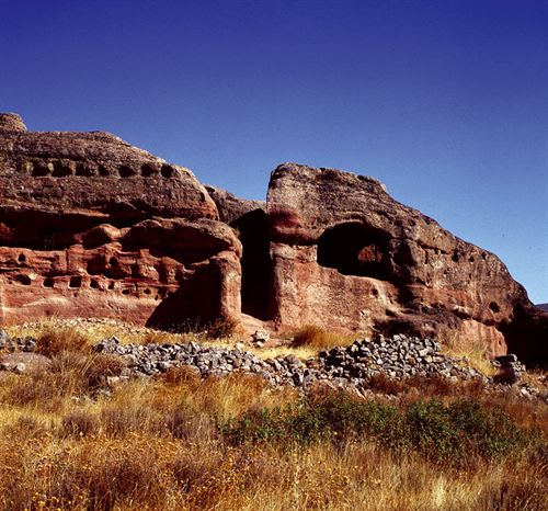 Turismo sostenible. Paseos micológicos por Soria