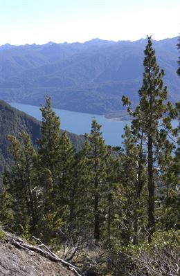 Plan para la Conservación de la Biodiversidad de Endesa