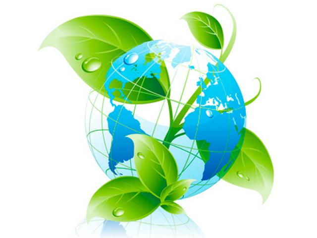 Balance del año desde la óptica del ecologismo social