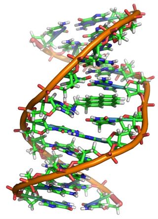 Cómo una sopa química origina la vida