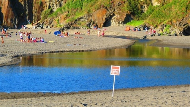 El Principado organiza una jornada para eliminar plantas invasoras en la playa de Frexulfe